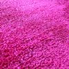 NFL - Arizona Cardinals 4'x6' Rug